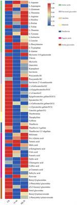 Metabolome and RNA-seq Analysis of Responses to Nitrogen Deprivation and Resupply in Tea Plant (Camellia sinensis) Roots